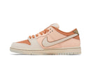 Tênis Nike Sb Dunk Low Trocadéro Gardens Marrom